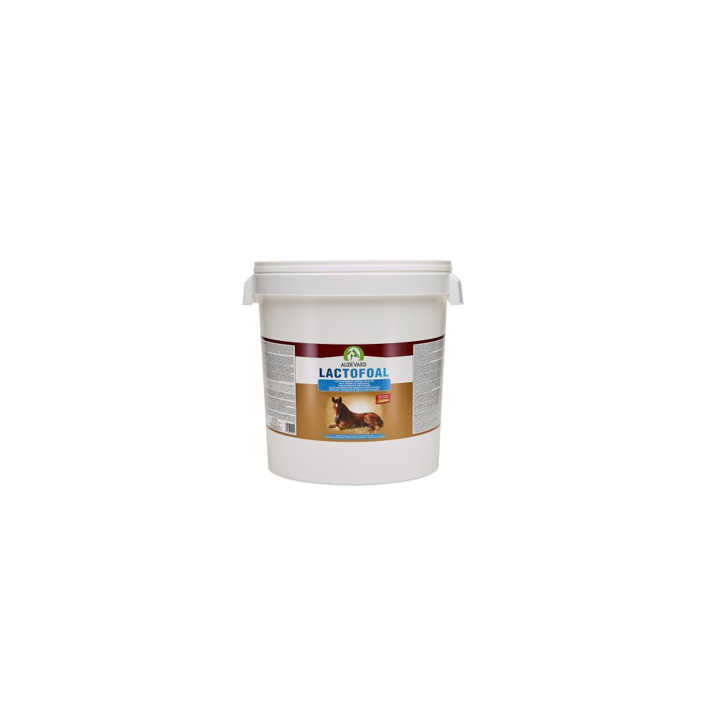 Product image for 11605