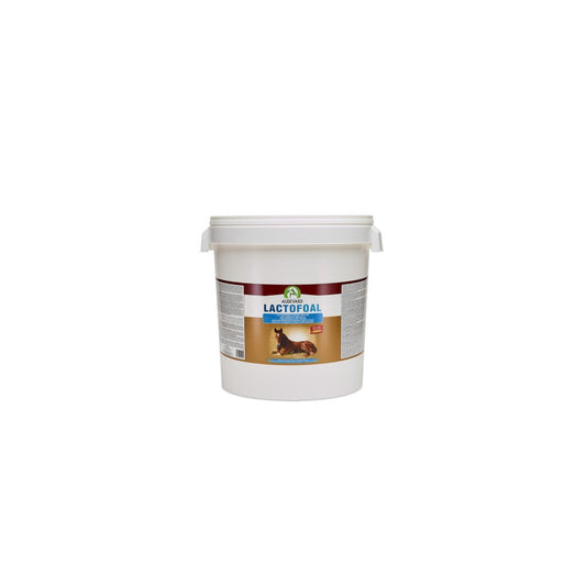 Product image for 11605