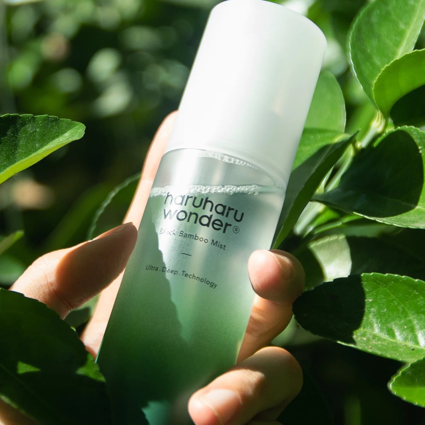 Haruharu Wonder Black Bamboo Mist Hydrating Face Mist 150ml - 3