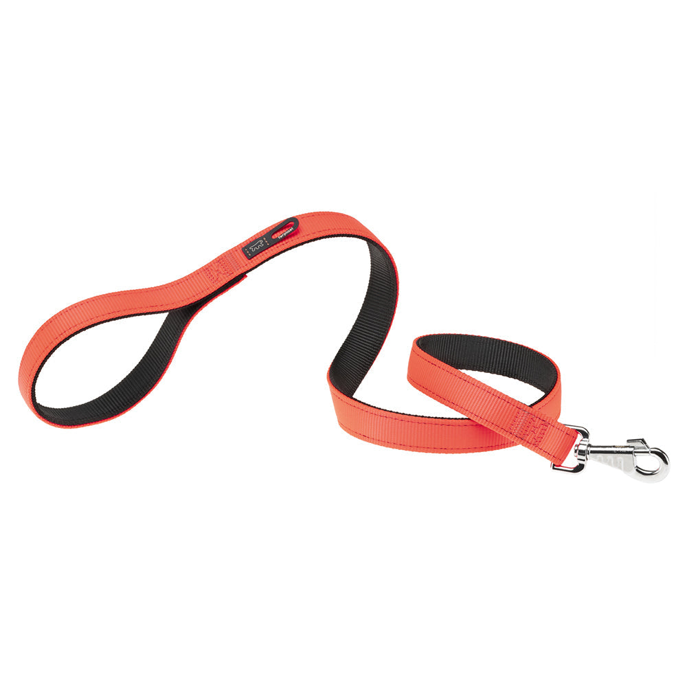Product image for 14363