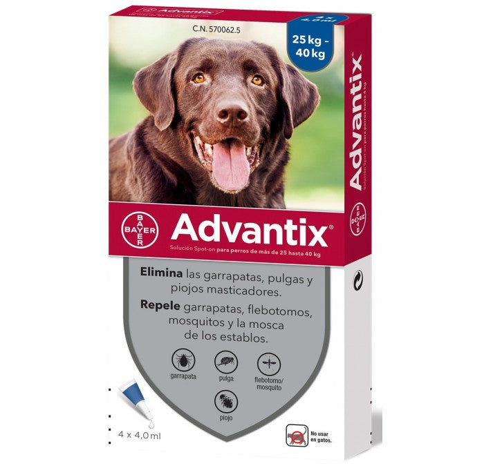 Product image for 19544