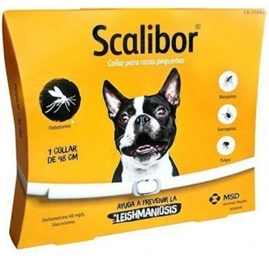 Product image for 19369