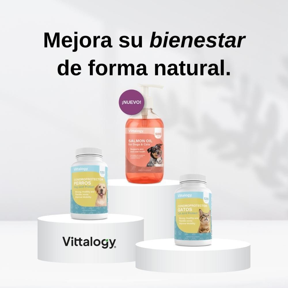 Vittalogy Aceite de Salmón para Perros y Gatos Duplo 2x500ml-8