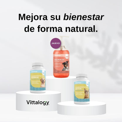 Vittalogy Aceite de Salmón para Perros y Gatos Duplo 2x500ml-8