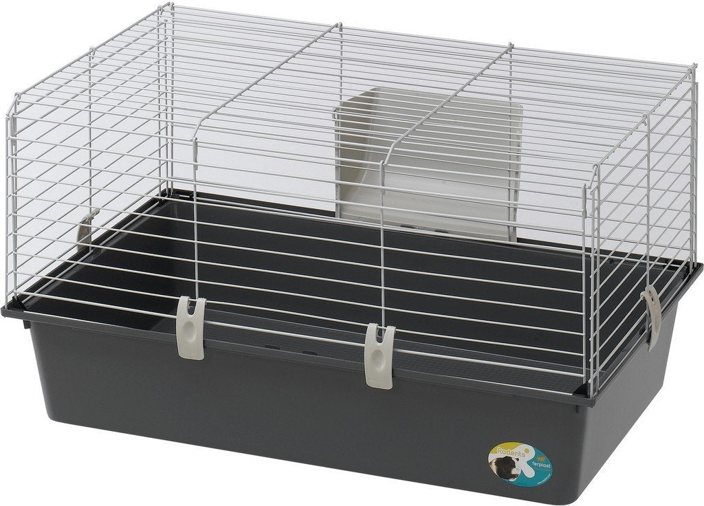 Product image for 15449