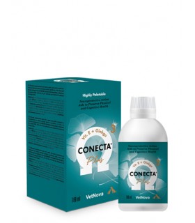 Product image for 11323