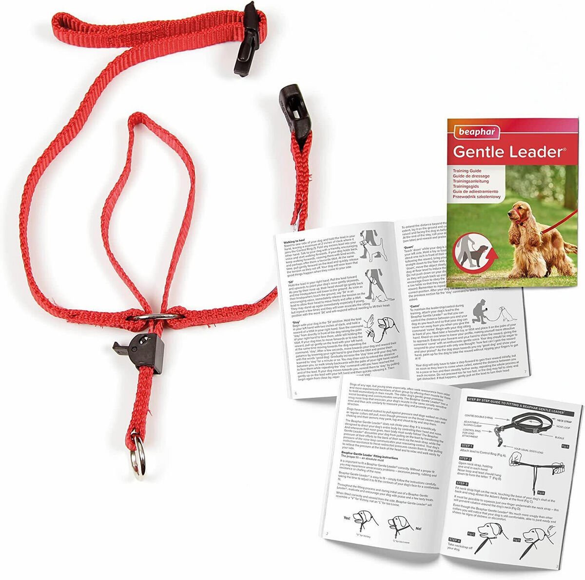 Product image for 11560