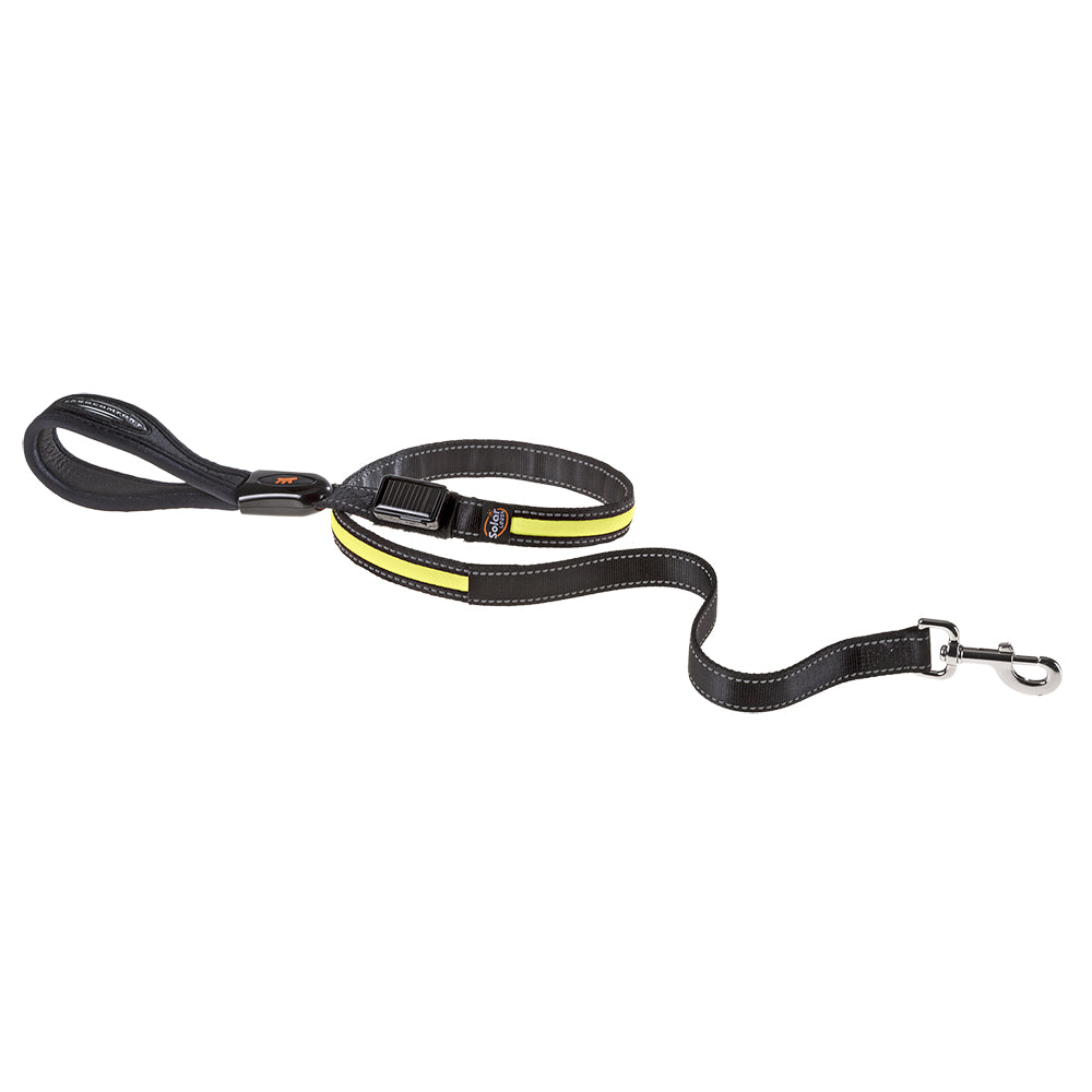 Product image for 14551