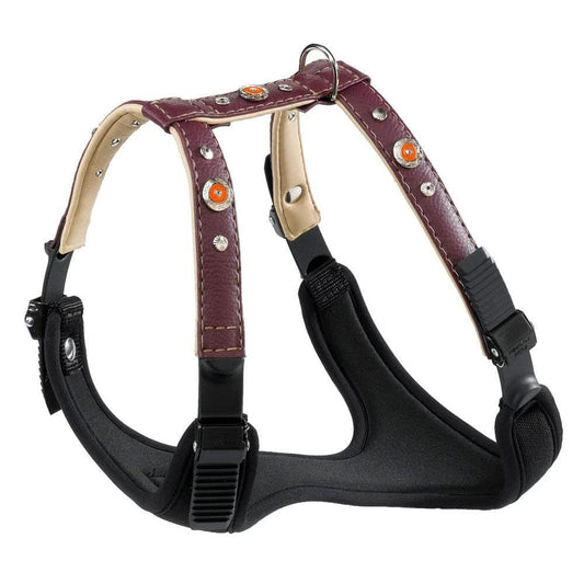Product image for 14864