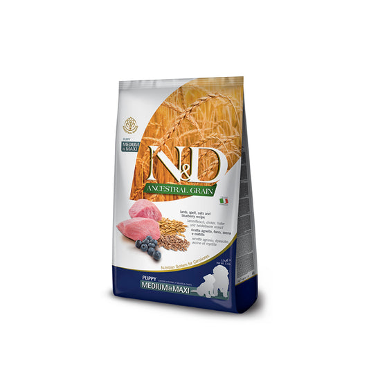 Product image for 13936