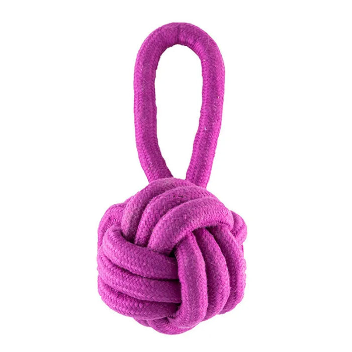 Product image for 16363
