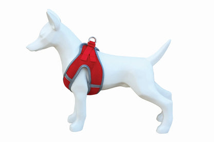 Product image for 15973