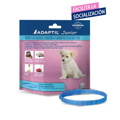 Product image for 13545