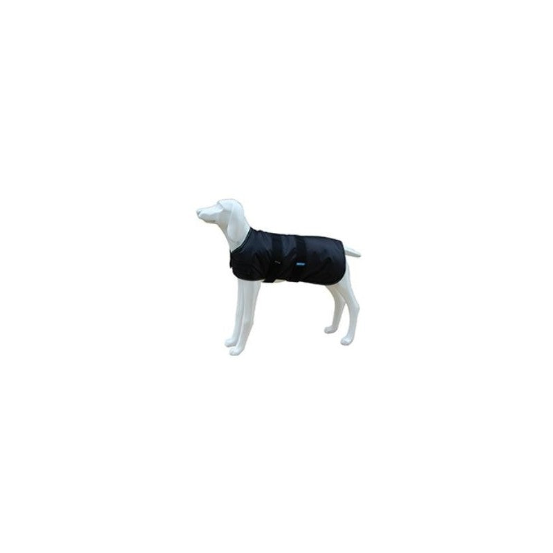 Product image for 16529