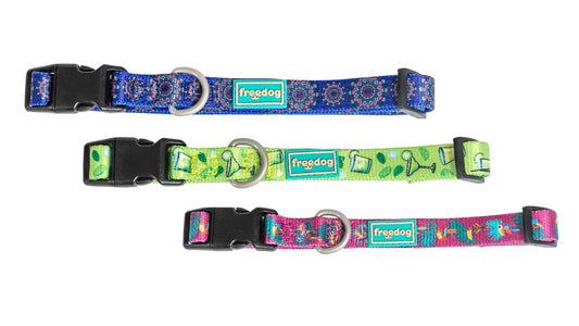 Product image for 15844