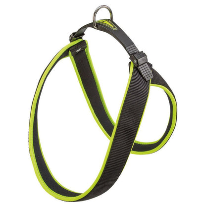Product image for 14381