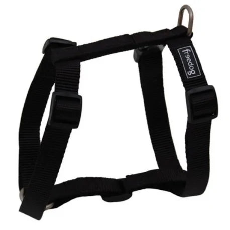 Product image for 15971