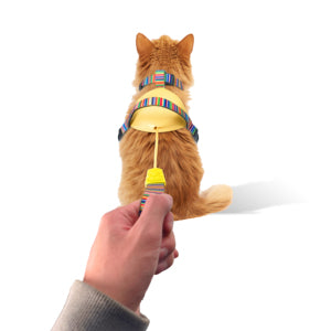 Product image for 10843