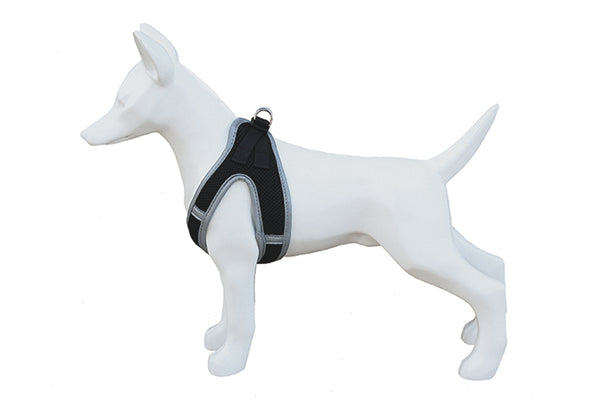 Product image for 16141