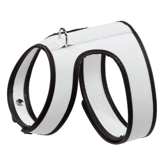 Product image for 15731