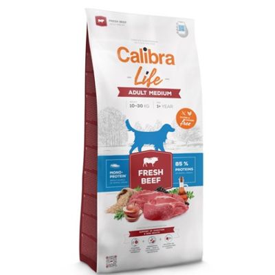 Product image for 13769