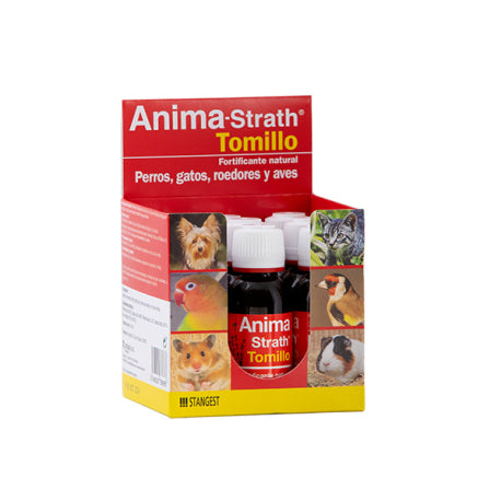Product image for 11248