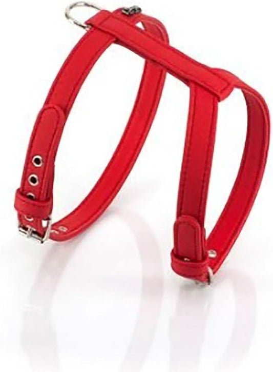Product image for 11597