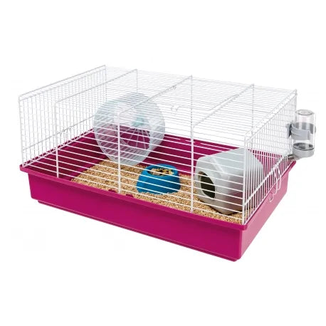 Product image for 14884
