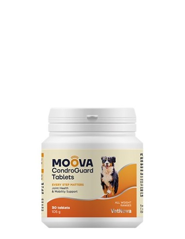 Product image for 16919