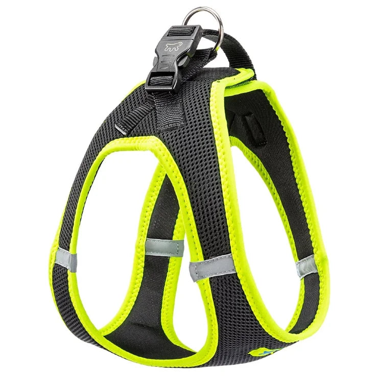 Product image for 15181