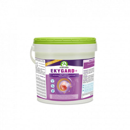 Product image for 9309