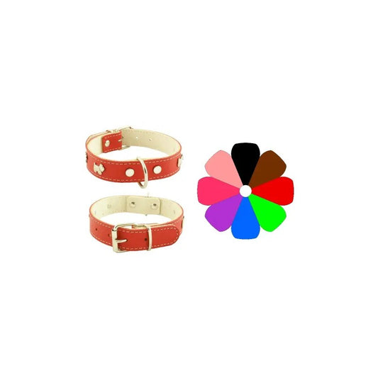 Product image for 17381