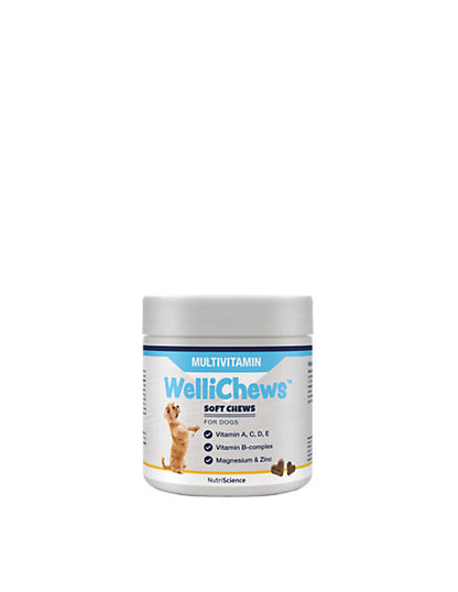 Product image for 11462