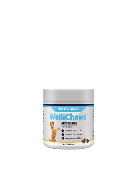 Product image for 11462