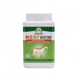 Product image for 13645