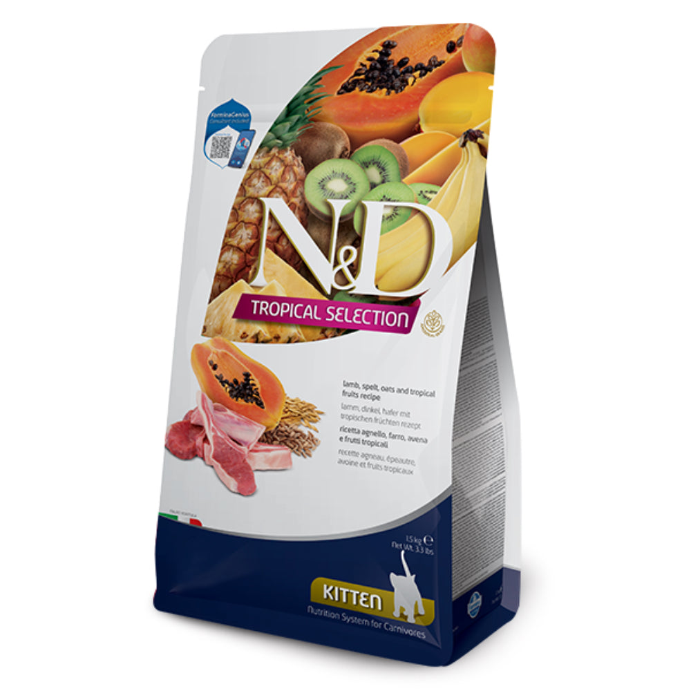 Product image for 11388