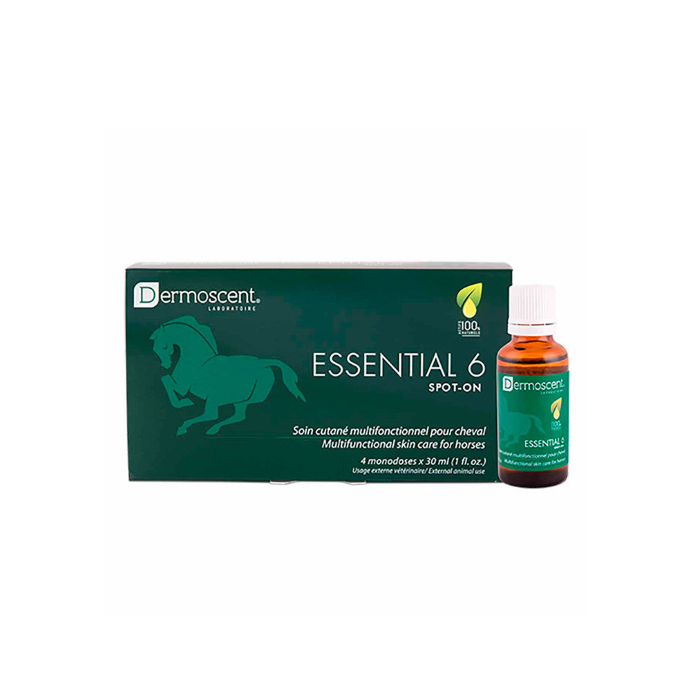 Product image for 11197
