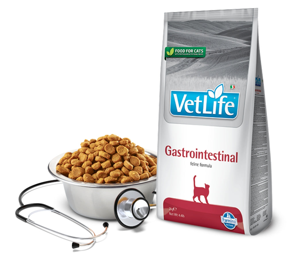 Product image for 13894