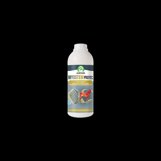 Product image for 10859