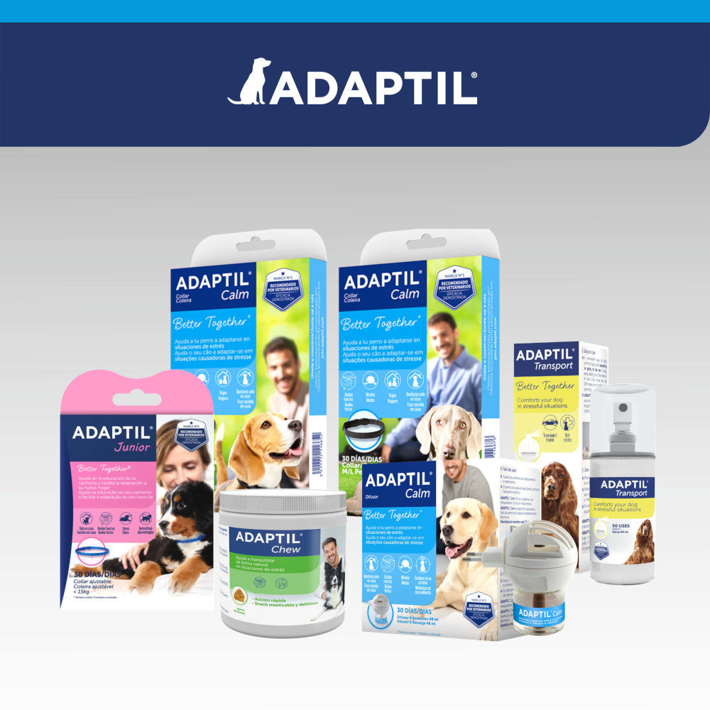 Adaptil Halsband Calm Großer Hund Schwarz 1 Stk