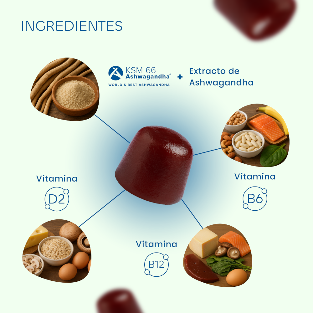 Premium Gummies Ashwagandha KSM-66 60 gominolas