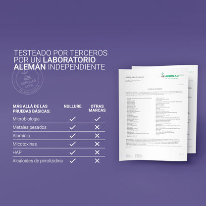 Nullue Memory & Focus 60 cápsulas