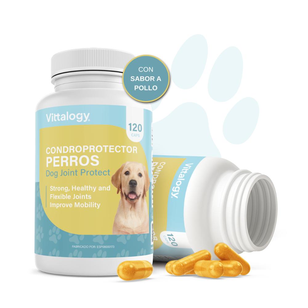 Vittalogy Condroprotector para Perros 2x120 Cápsulas【PACK AHORRO】