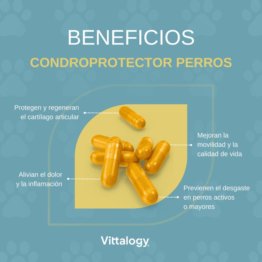 Vittalogy Condroprotector para Perros 120 Cápsulas-5