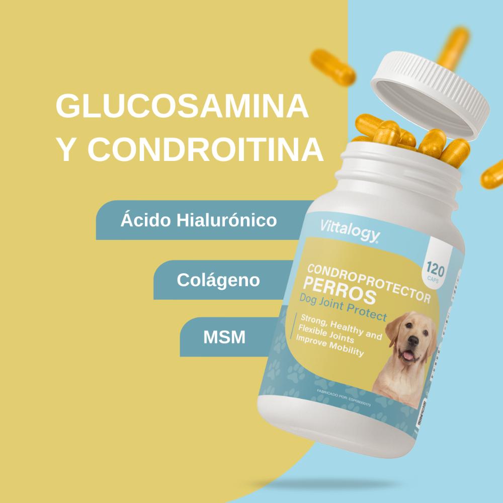 Vittalogy Condroprotector para Perros 120 Cápsulas-6