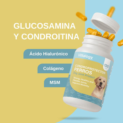 Vittalogy Condroprotector para Perros 120 Cápsulas-6