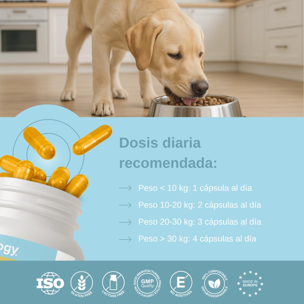 Vittalogy Condroprotector para Perros 120 Cápsulas-7