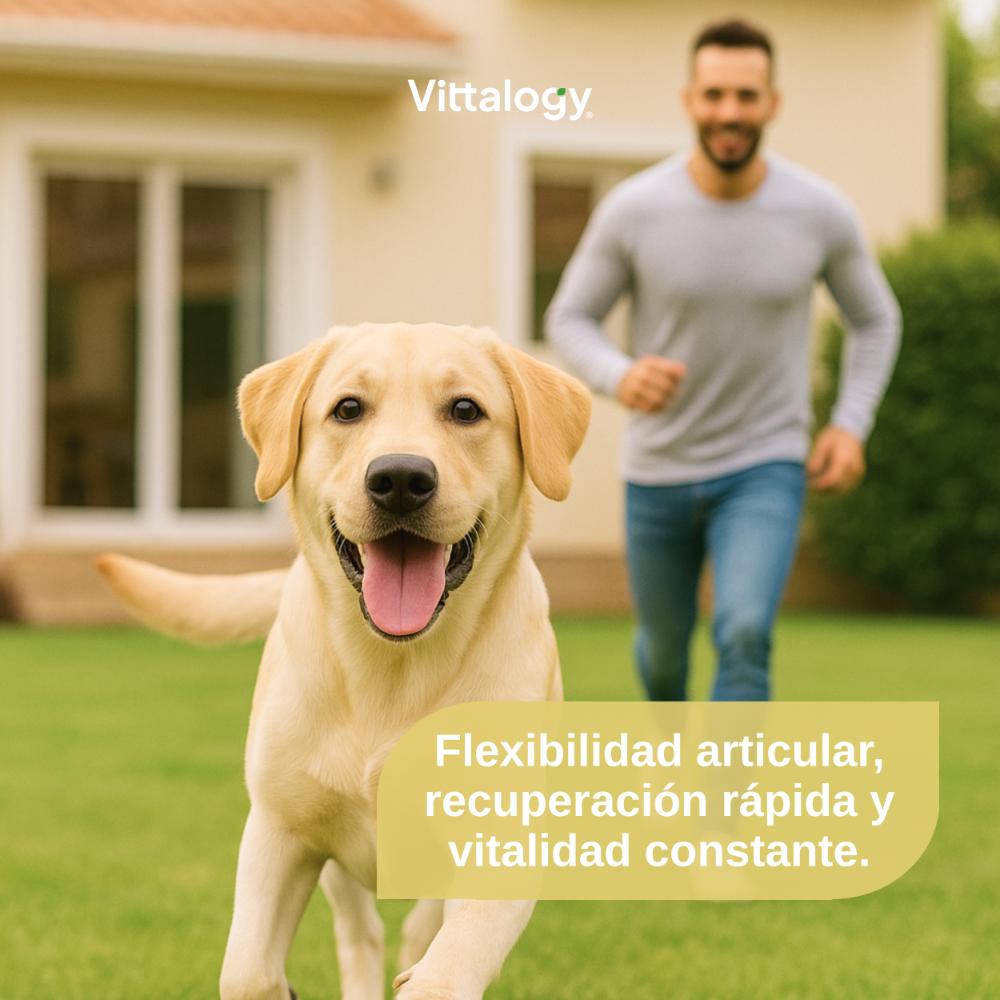 Vittalogy Condroprotector para Perros 120 Cápsulas-2
