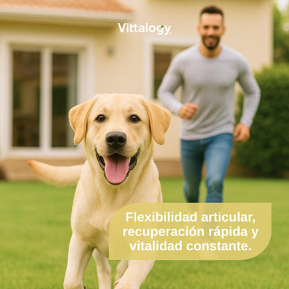 Vittalogy Condroprotector para Perros 120 Cápsulas-2