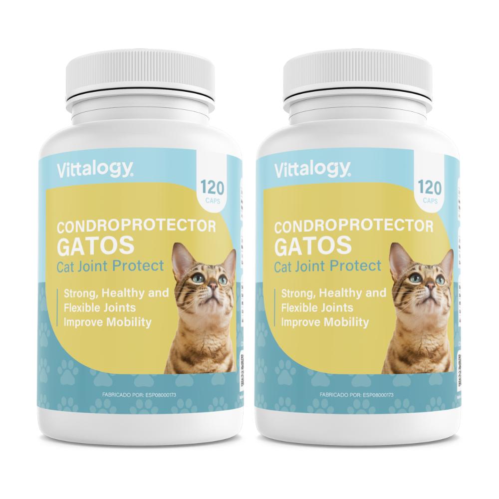 Vittalogy Condroprotector para Gatos 2x120 Cápsulas【PACK AHORRO】-1